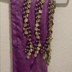 Purple Belly Dance Hip Scarf with Gold Coins